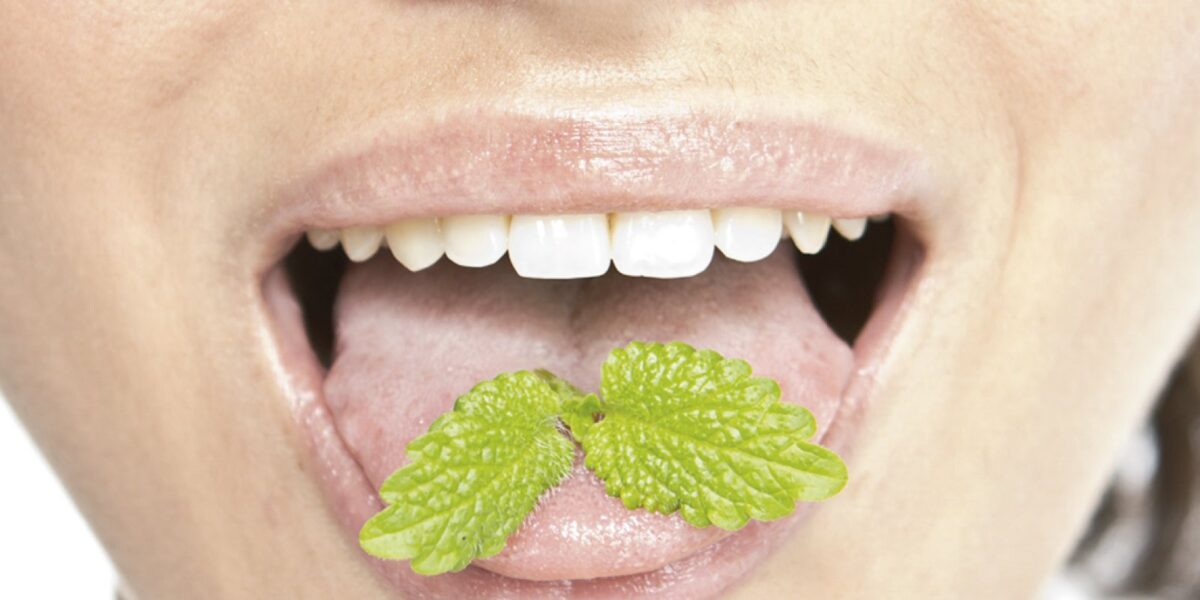 ۶ راهکار موثر برای رفع بوی بد دهان